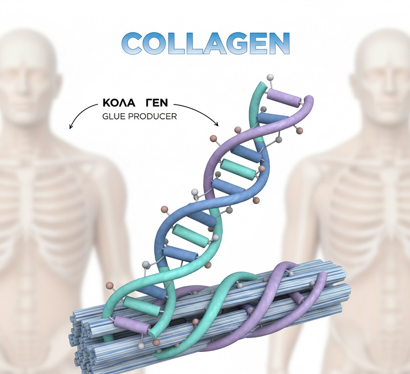 کلاژن